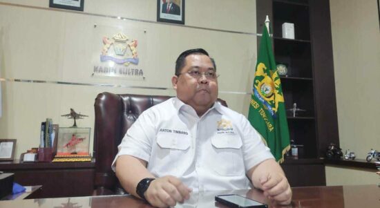 Ketua Umum Kadin Sultra, Anton Timbang. Foto: Ist
