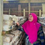 Ketua tim PKM Universitas Halu Oleo (UHO) Kendari, Rosliana Eso melaksanakan kegiatan pengabdian kepada masyarakat dengan mengembangkan inovasi Internet of Things (IoT) untuk membantu meningkatkan produksi jamur tiram di Desa Lebo Jaya, Kecamatan Konda, Kabupaten Konawe Selatan, Rabu, 19 November 2025. Foto: Ist