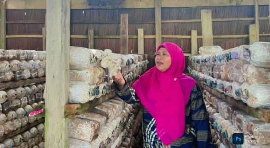 Ketua tim PKM Universitas Halu Oleo (UHO) Kendari, Rosliana Eso melaksanakan kegiatan pengabdian kepada masyarakat dengan mengembangkan inovasi Internet of Things (IoT) untuk membantu meningkatkan produksi jamur tiram di Desa Lebo Jaya, Kecamatan Konda, Kabupaten Konawe Selatan, Rabu, 19 November 2025. Foto: Ist